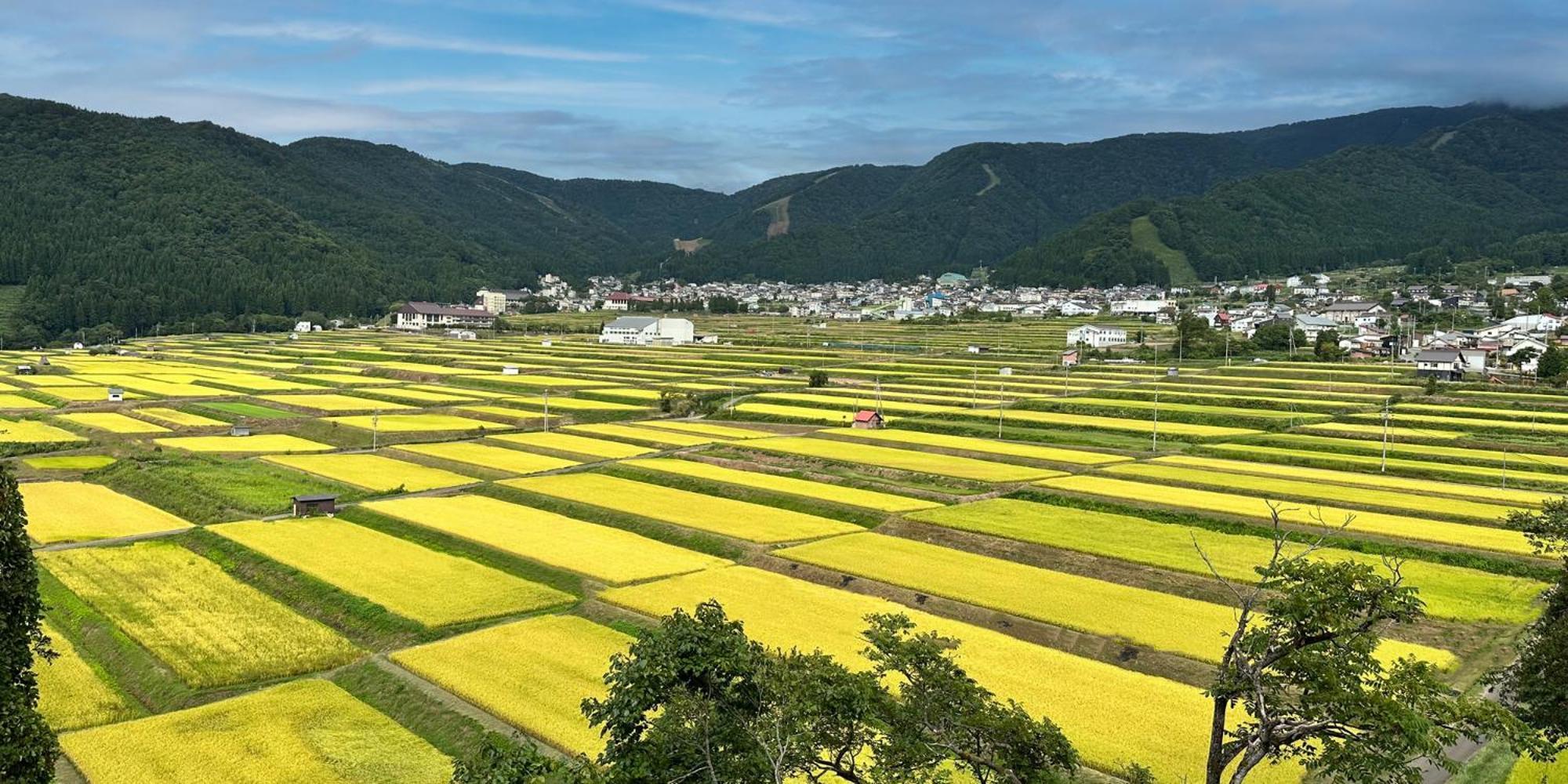 Pearl Yoshigoe Hotel Nozawaonsen Buitenkant foto